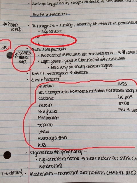 A Comprehensive Guide to Note-Taking in College - College Fashion