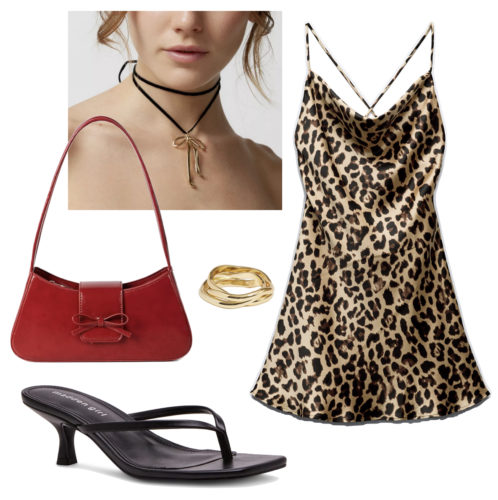 Leopard Dress Outfit