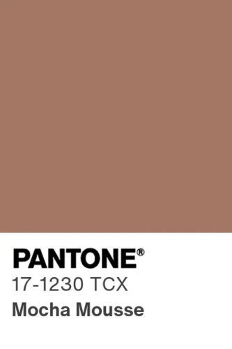 Pantone Mocha Mousse